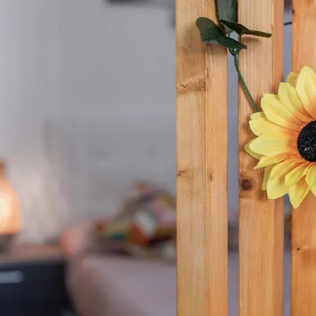 Casa Barriguita * El Golfo